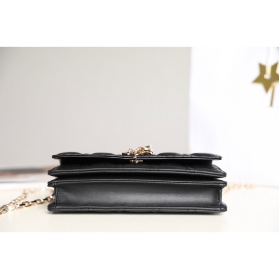 Lady-dior