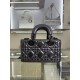Lady-dior