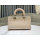 Lady-dior