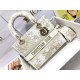 Lady-dior