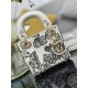 Lady-dior Lady-dior