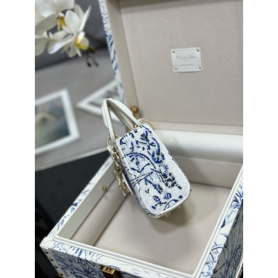 Lady-dior Lady-dior