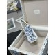 Lady-dior Lady-dior