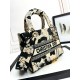 Lady-dior Lady-dior