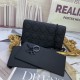 Lady-dior