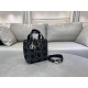 DIOR Toujours