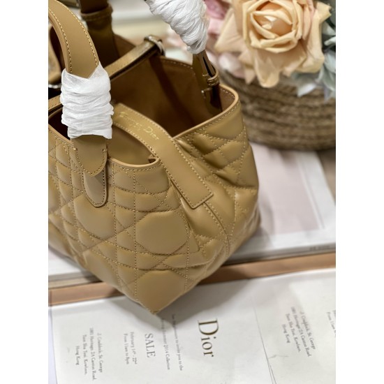 DIOR Toujours