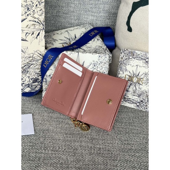 Lady-dior