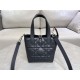 DIOR Toujours