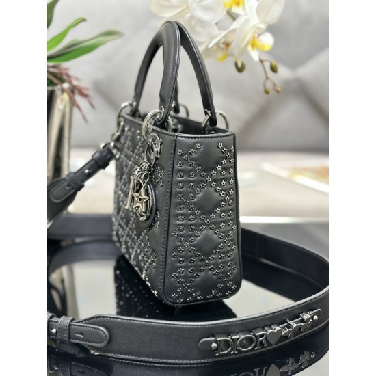 Lady-dior Lady-dior