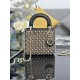 Lady-dior