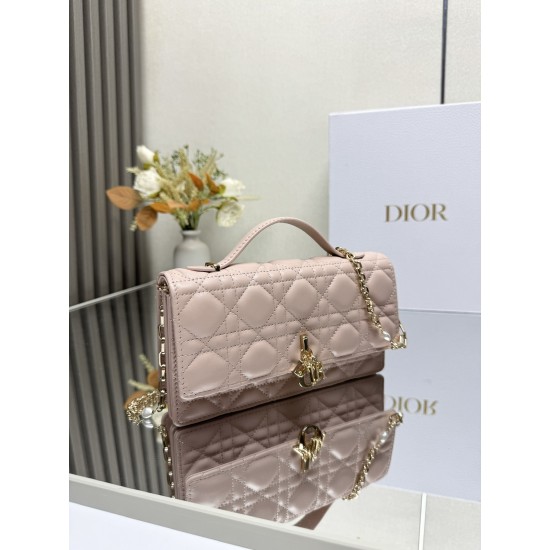 Lady-dior