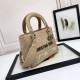 Lady-dior