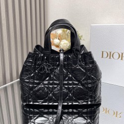 DIOR Toujours