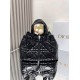 DIOR Toujours