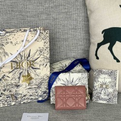 Lady-dior