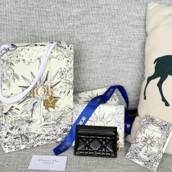 Lady-dior