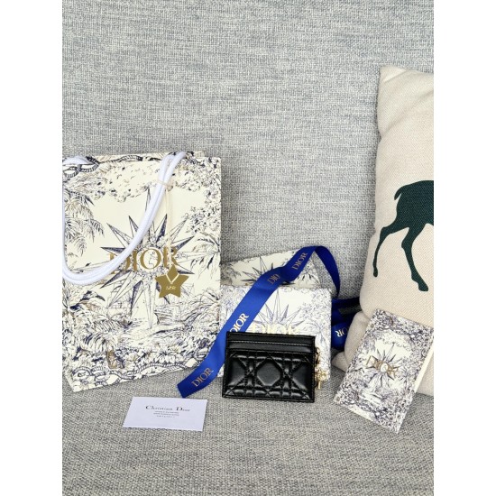 Lady-dior Lady-dior