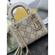 Lady-dior