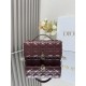 Lady-dior