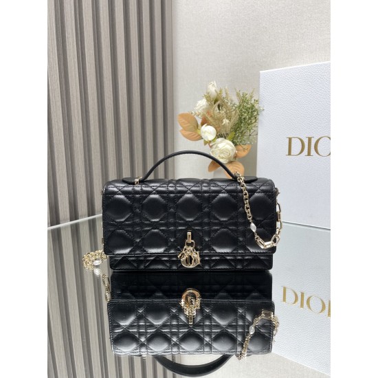 Lady-dior